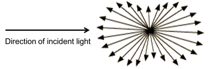 EXTF_20200723_Scattering_graphics1