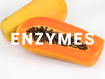 ILLU_20190113_Web_gallery_Application_Notes_Enzymes